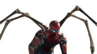 Ready To Fight Spider Man Sticker