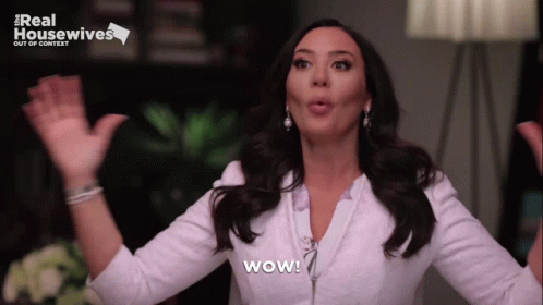 Real Housewives Housewives GIF