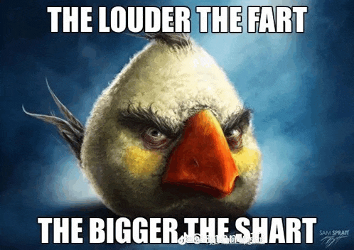 Realistic Angry Bird Meme