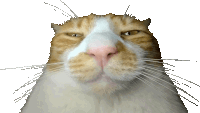 Really Cat Sticker