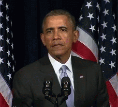 Really So GIF. This 244 x 220 animated GIF is part of our incredulous collection. Related themes include obama, reaction, really. View the original…