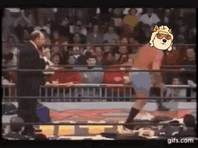 Realshibespodcast GIF
