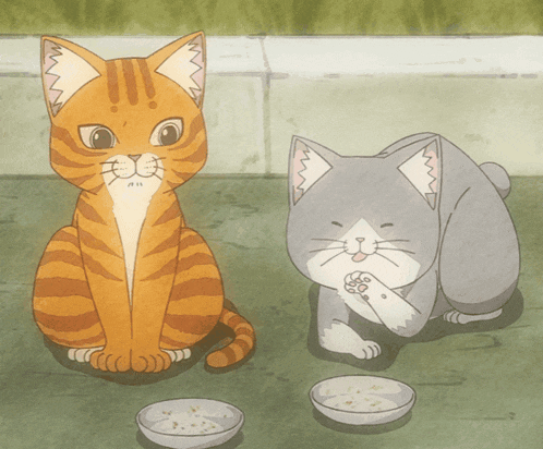 Red Cat GIF