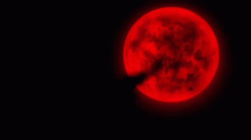 Red Dawn GIF. This 498 x 277 animated GIF is part of our red dawn wolverines collection. Related themes include red. Created by INIAK. View the original…