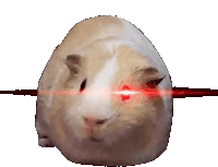 Red Eyes Meme Sticker