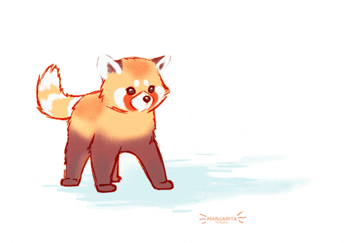 Red Panda Playful GIF