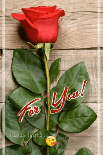Red Rose For You GIF