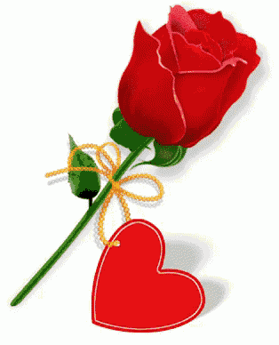 Red Rose GIF