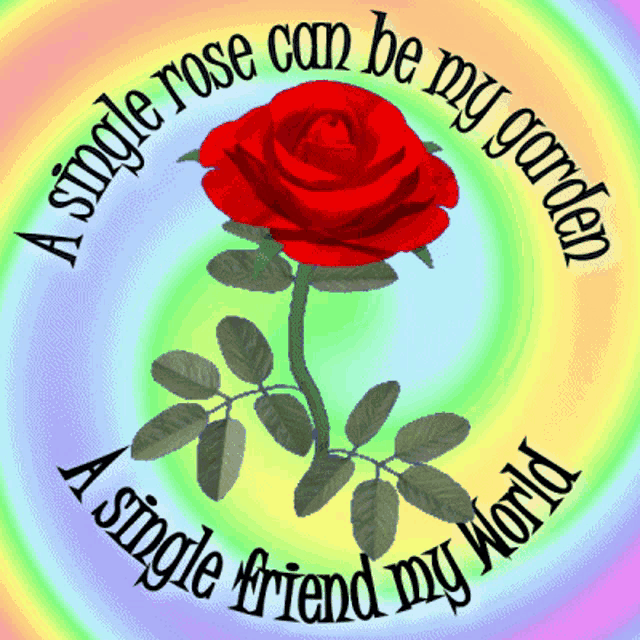 Red Rose Single Rose GIF