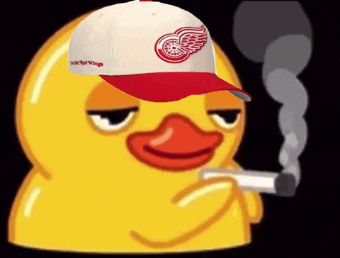 Red Wings Detroit GIF