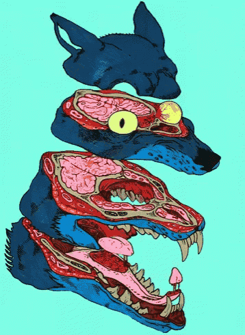 Reddit GIF