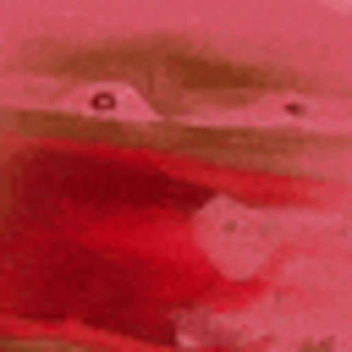 Reee Pepe GIF