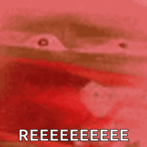 Reee Pepe GIF