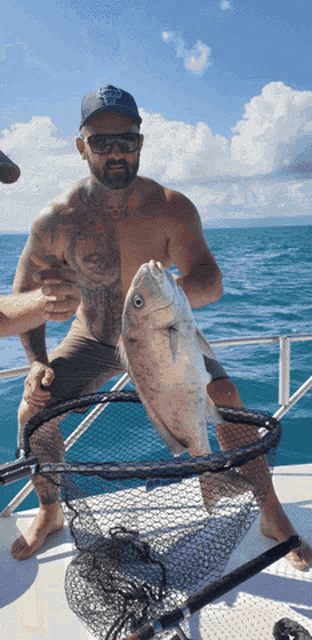 Reef Fishing Charters Airlie Beach GIF