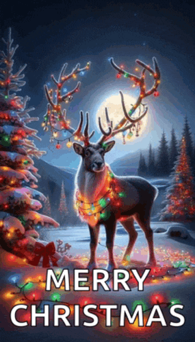 Reindeer Christmas Meme