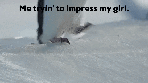 Relationships Relationship Goals GIF