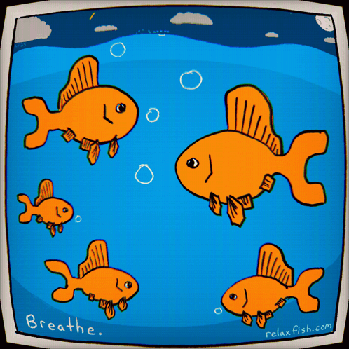 Relax Fish GIF