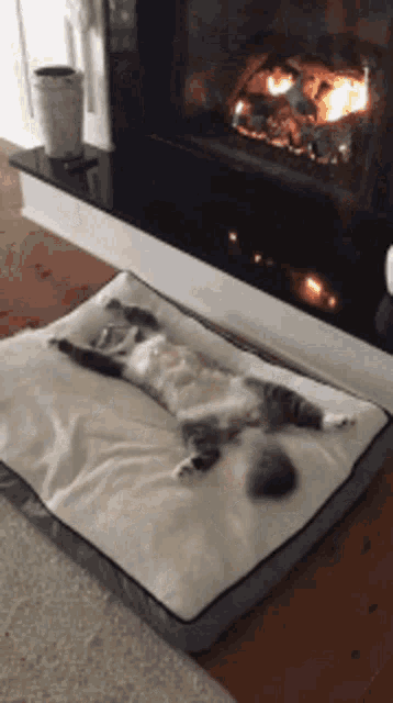 Relax Staywarm GIF