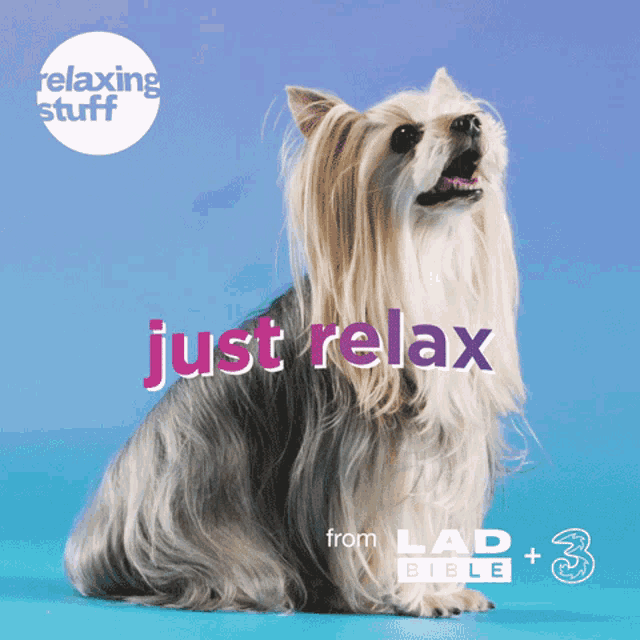 Relaxingstuff Threeuk GIF