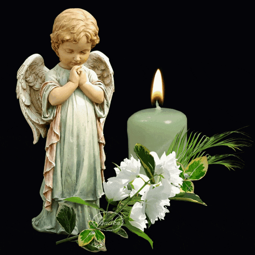 Remembrance In Memory GIF