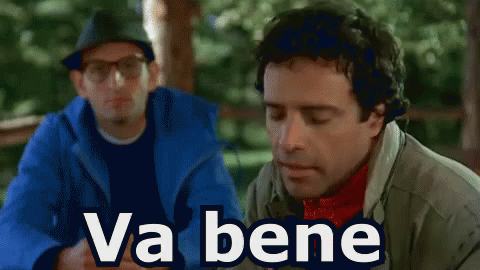Renato Pozzetto Va Bene Perfetto D'Accordo GIF