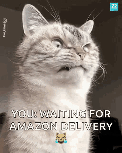 Renegon Grumpy GIF