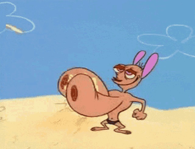 Renspecs Renhoek GIF