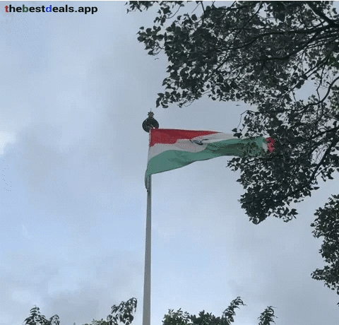 Republic Day India Flag GIF