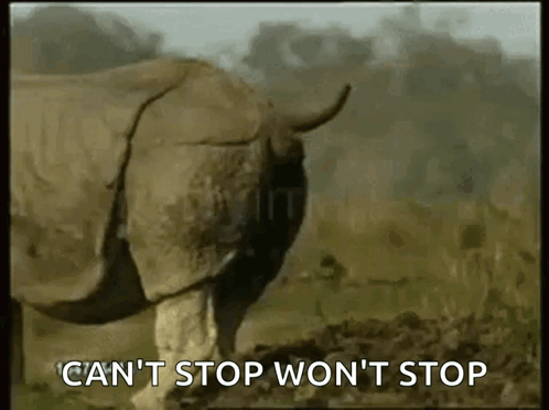 Rhino Shit GIF