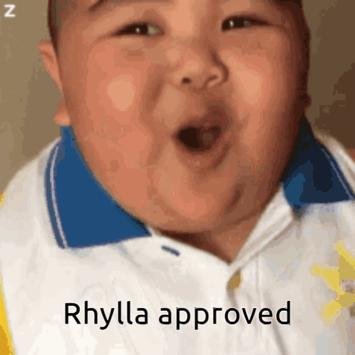 Rhylla Approved Signal Lost GIF
