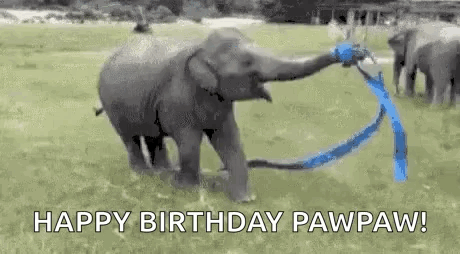 Ribbin Dance Ribbon Dance GIF