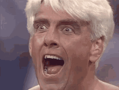 Ric Flair GIF