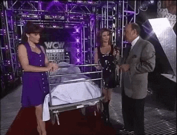 Ric Flair GIF