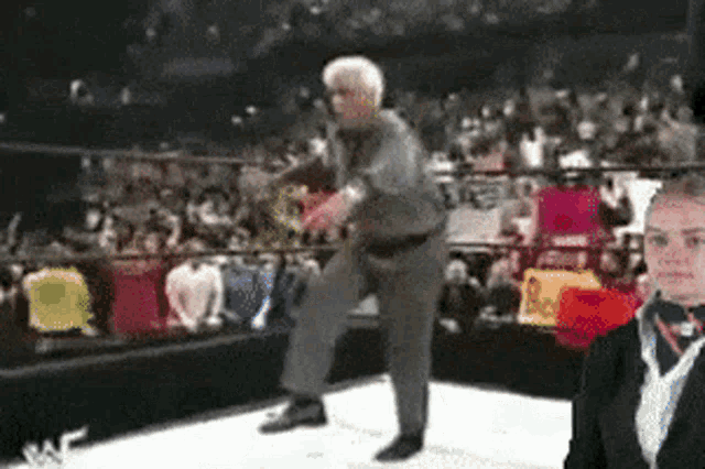 Ric Flair Stewardess GIF