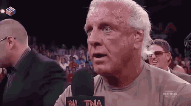 Ric Flair GIF