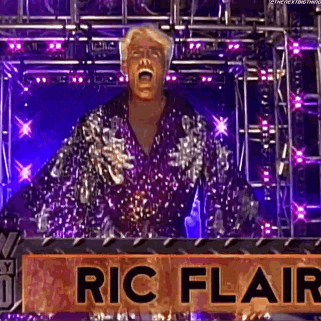 Ric Flair Wcw Nitro GIF