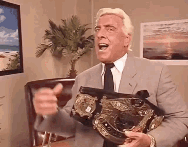 Ric Flair GIF