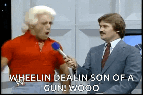Ric Flair Wwe GIF