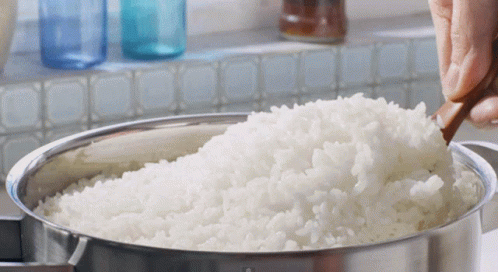 Rice Basmati GIF