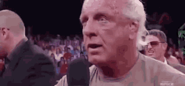 Rick Flair GIF