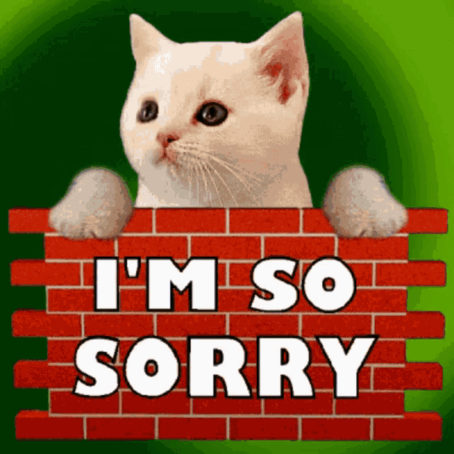 Rick Roll Sorry GIF
