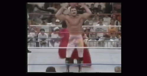 Rick Rude Wrestler GIF