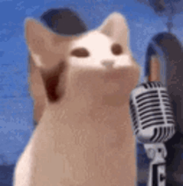 Rickroll Bop GIF