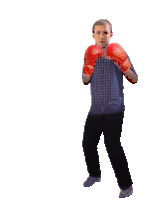 Ridasidibenali Fight Sticker