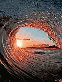 Ride The Wave GIF