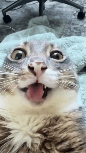 Rigby Sarah GIF