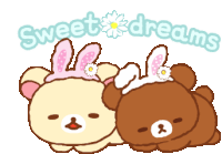 Ril Akku Sticker