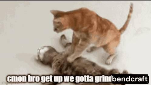 Rise And Grind Minecraft Memes GIF