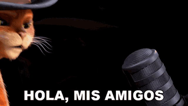 Rizz In Boots GIF