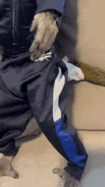 Rizzler Rizz GIF